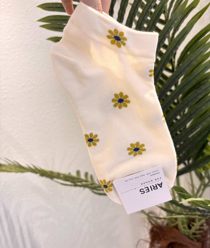 CACTUS-Q韓國代購女士新款時尚熱賣職業真品26春夏人氣襪子CACTUS十雙起/可混搭襪子圖色2