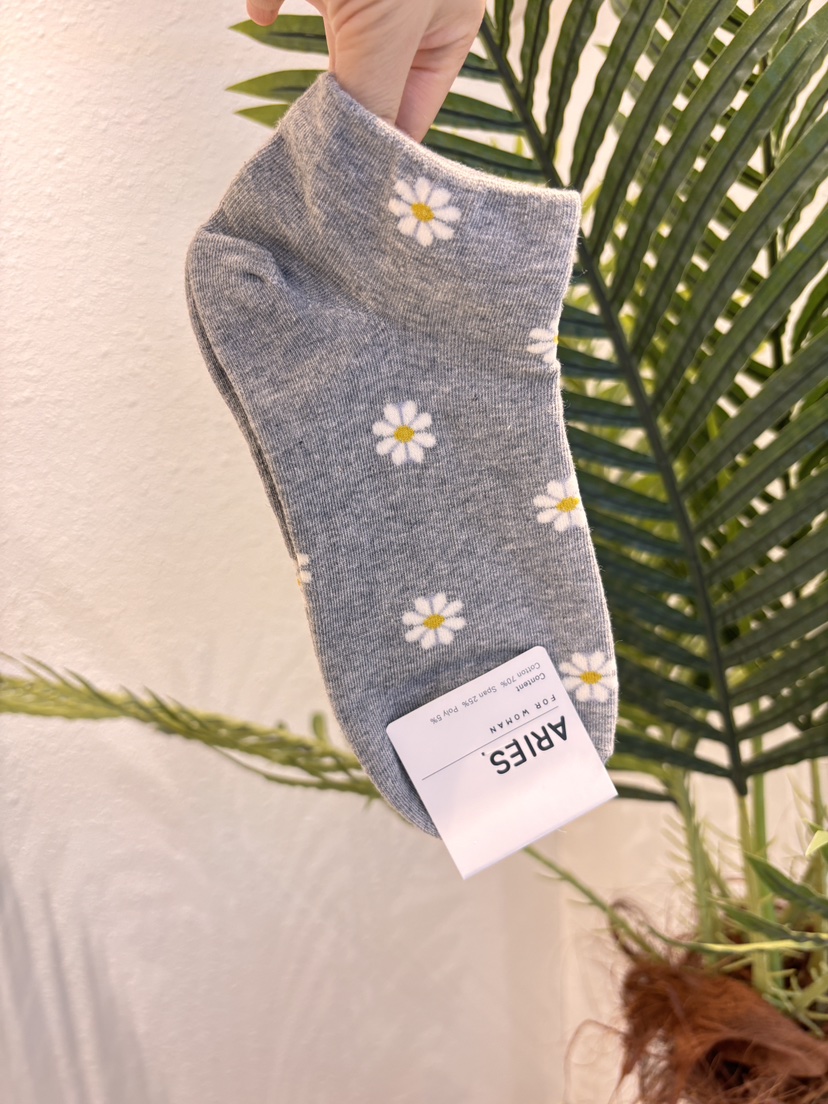 CACTUS-Q韓國代購女士新款時尚熱賣職業真品26春夏人氣襪子CACTUS十雙起/可混搭襪子圖色3