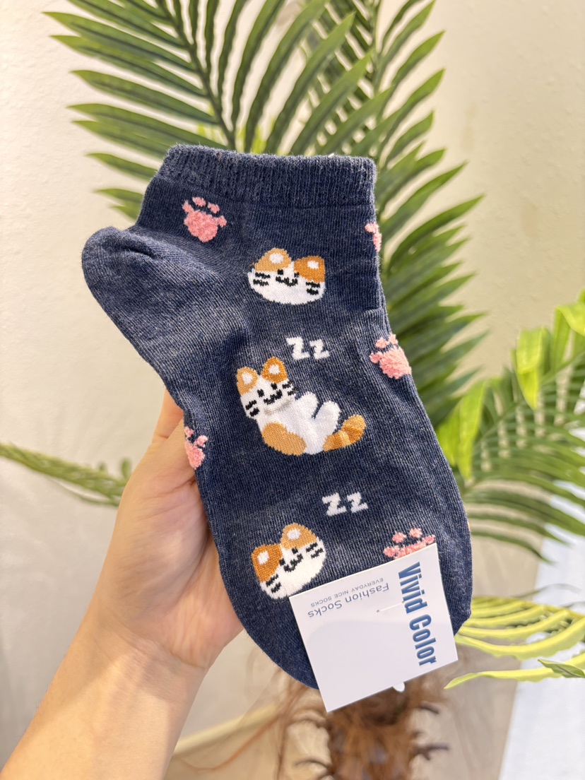 CACTUS-Q東大門代購女裝新品職業熱賣休閑真品時尚推薦襪子CACTUS十雙起/可混搭襪子圖色5