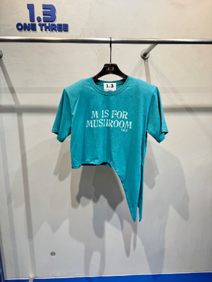 1.3韓國代購女裝新款真品休閑熱賣時尚推薦人氣職業26春夏T恤1.3T恤圖色4