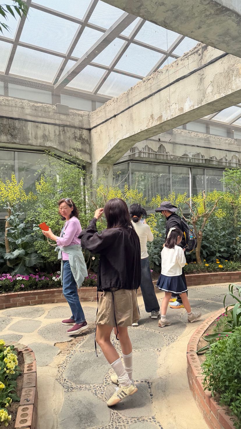 FRANC—L韓國直郵女裝新品26春夏人氣職業時尚熱賣休閑短褲FRANC短褲