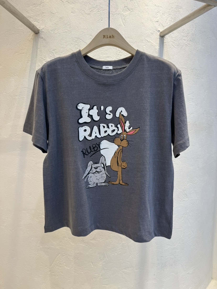 RIAH韓國直郵實拍女士新品時尚熱賣26春夏休閑職業人氣T恤RIAHT恤圖色1