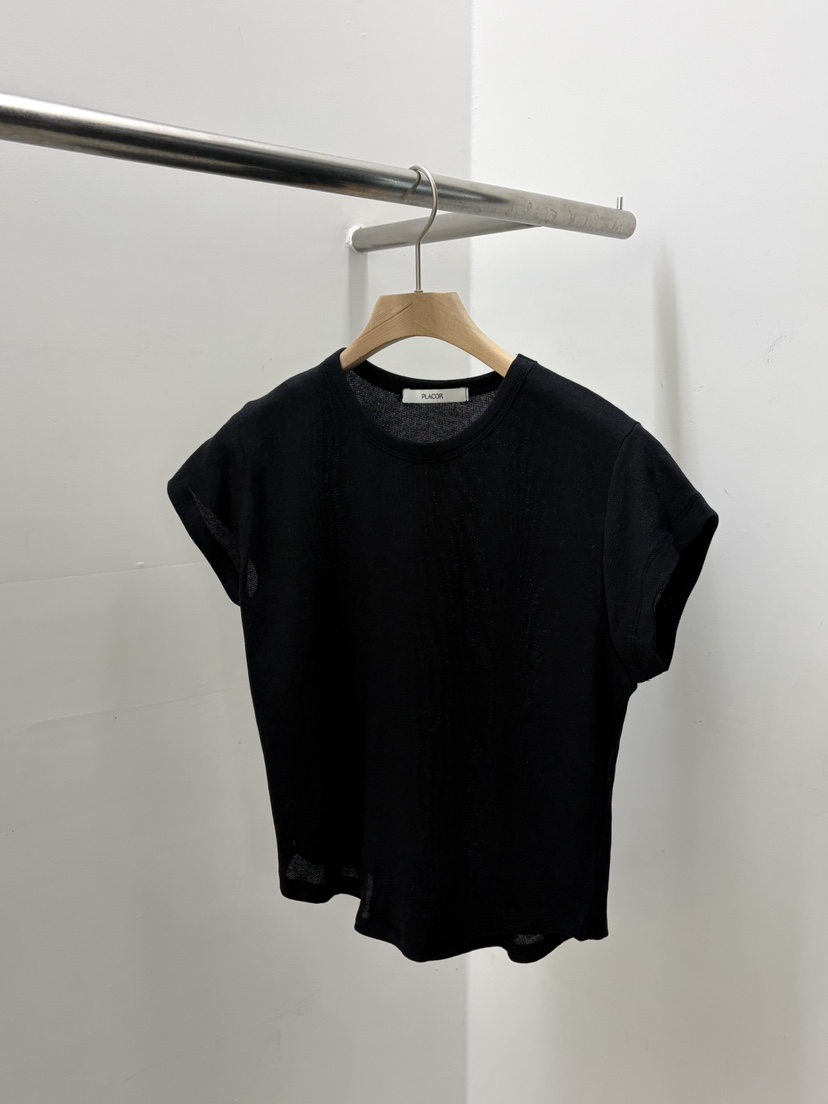 REGULARLY/PLACOR韓國直郵實拍女士新品26春夏職業休閑T恤REGULARLY/PLACORT恤圖色4黑色