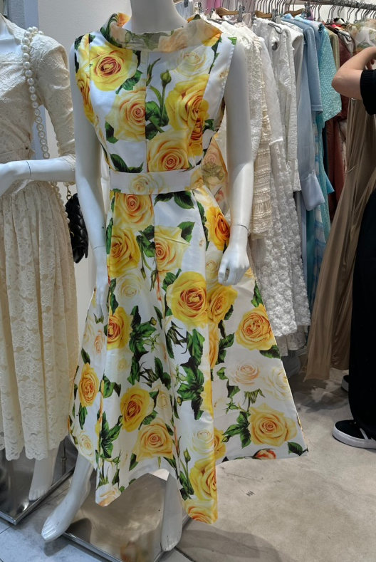 SENSIBLE-S韓國代購女裝新品26春夏，26夏季推薦時尚連衣裙SENSIBLE連衣裙圖色2