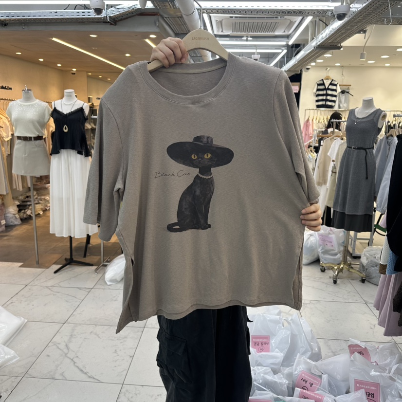 SAGE BRUSH韓國直郵實拍女裝新品推薦時尚職業休閑26春夏T恤SAGE BRUSHT恤圖色2