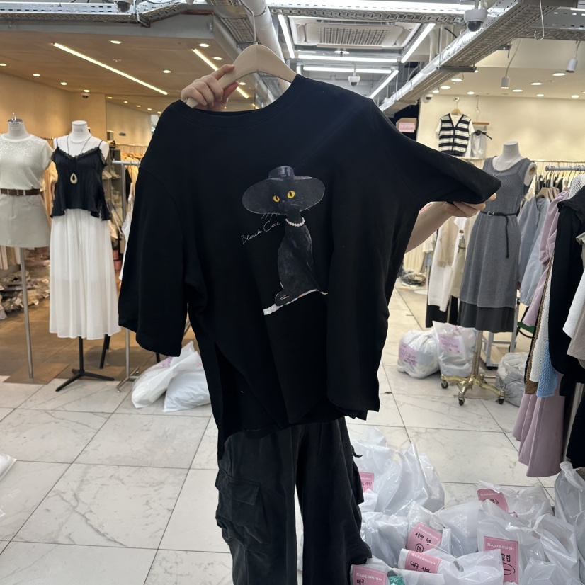 SAGE BRUSH韓國直郵實拍女裝新品推薦時尚職業休閑26春夏T恤SAGE BRUSHT恤圖色3