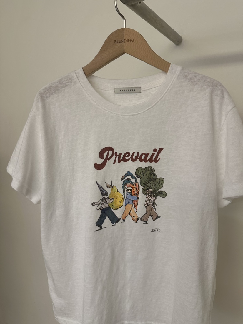 BLENDING-p東大門直郵女士新款休閑26春夏職業真品熱賣T恤BLENDING-pT恤