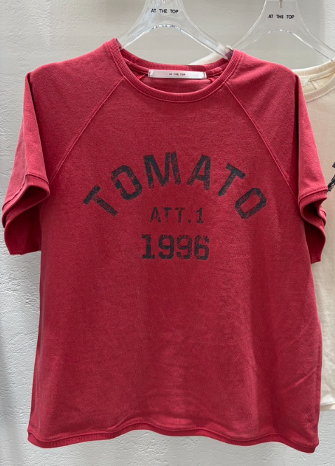 AT THE TOP韓國直郵女裝新款推薦職業26春夏26夏季人氣T恤AT THE TOPT恤圖色1