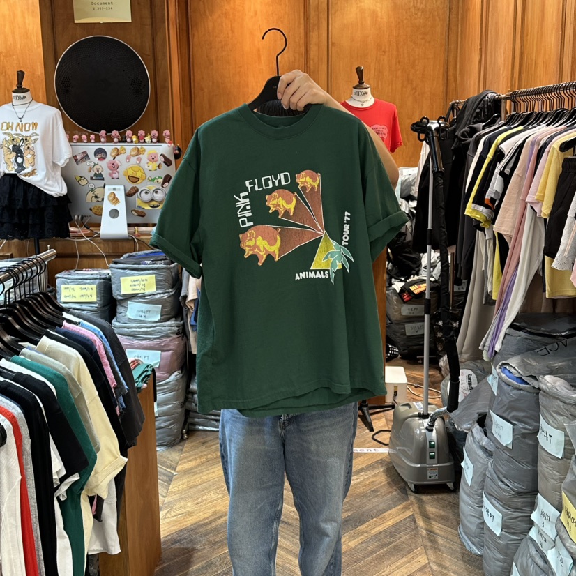 GARMENT-P韓國代購女士新品26春夏熱賣時尚26夏季職業T恤GARMENTT恤圖色2