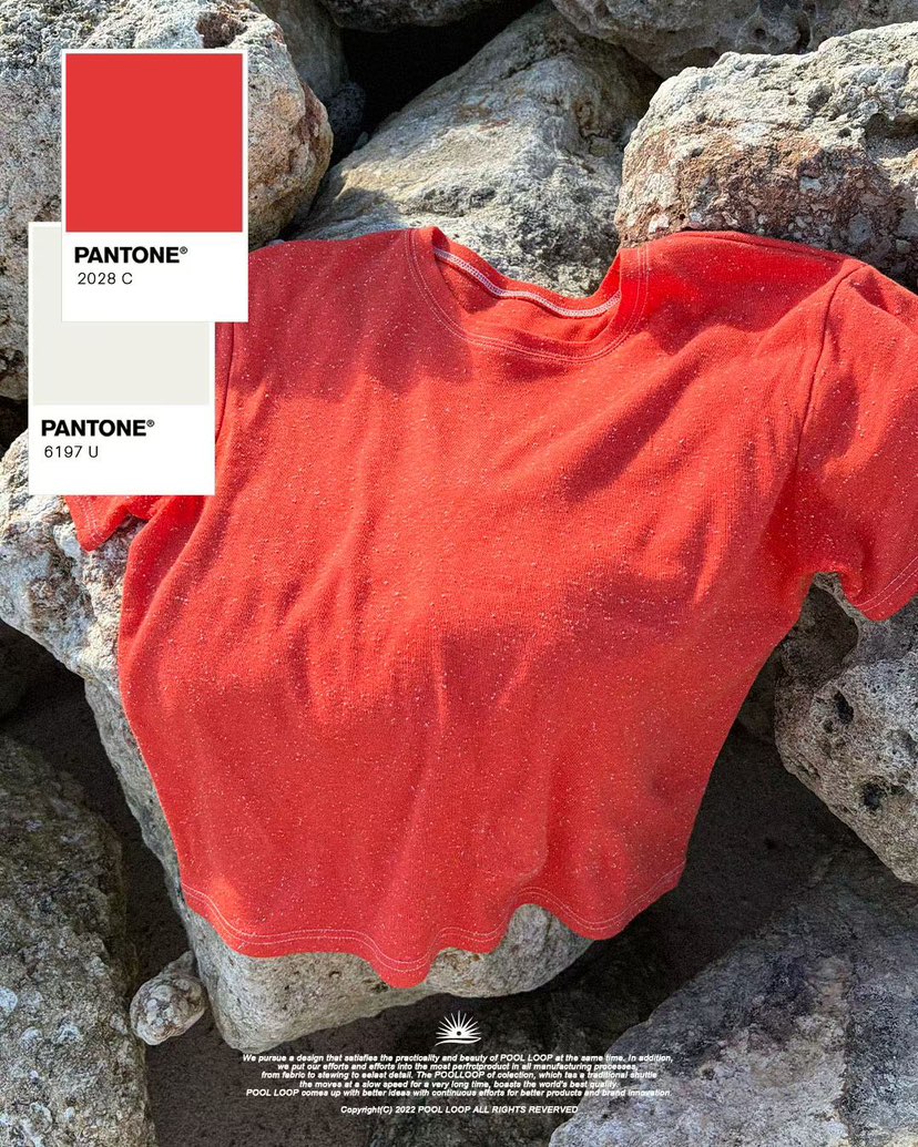 POOL LOOP韓國直郵女士新品推薦熱賣26夏季26春夏T恤男女同款POOL LOOPT恤圖色2