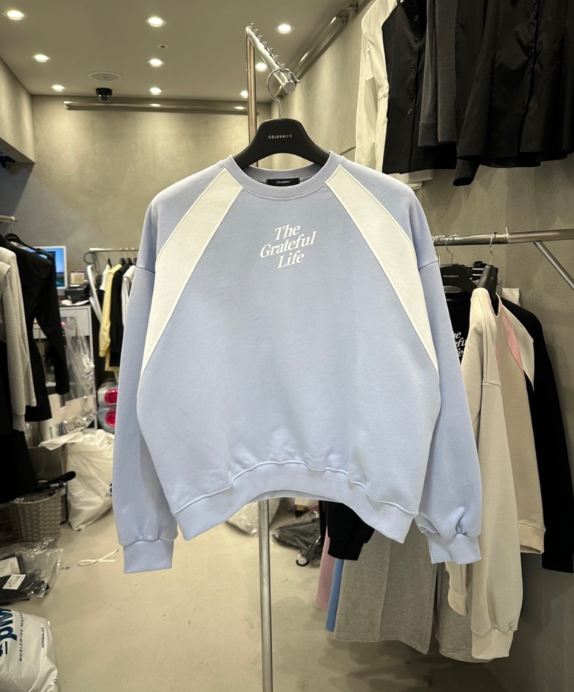 CELEBRITY-A韓國東大門代購女士新品推薦職業時尚衛衣打折CELEBRITY-A衛衣圖色1
