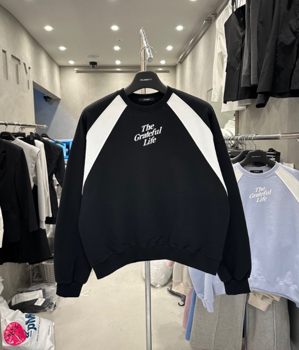 CELEBRITY-A韓國東大門代購女士新品推薦職業時尚衛衣打折CELEBRITY-A衛衣圖色2
