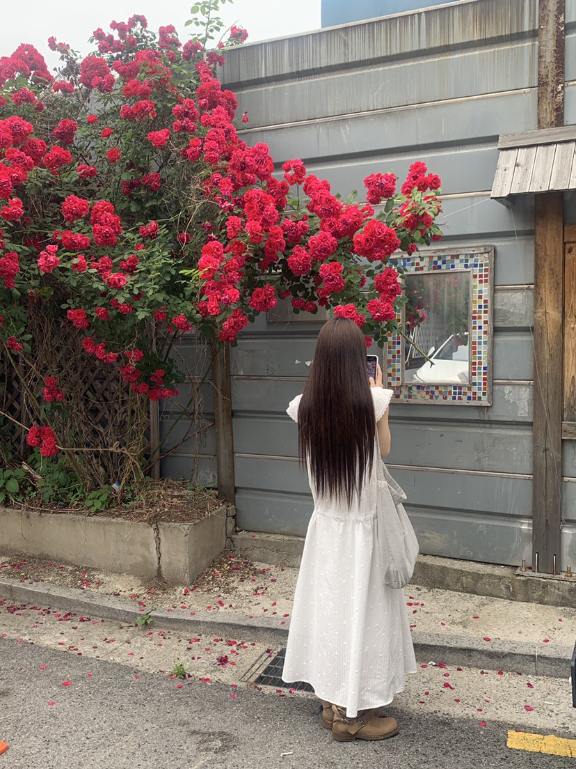 LOGARDEN東大門實拍韓國女裝新款26春夏26夏季推薦連衣裙SLO GARDEN連衣裙