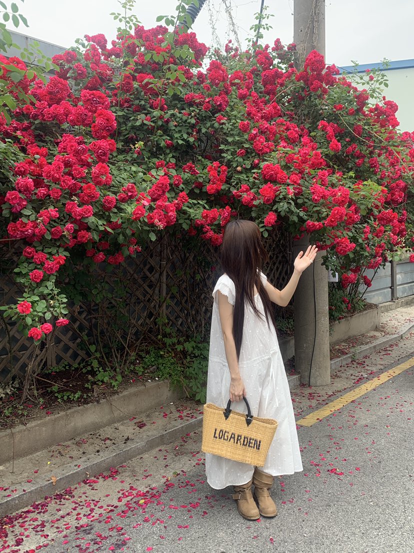 LOGARDEN東大門實拍韓國女裝新款26春夏26夏季推薦連衣裙SLO GARDEN連衣裙
