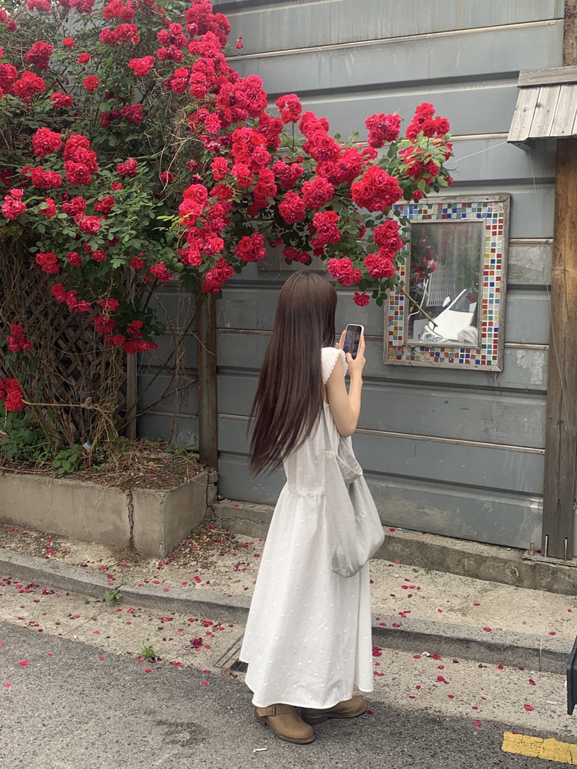 LOGARDEN東大門實拍韓國女裝新款26春夏26夏季推薦連衣裙SLO GARDEN連衣裙