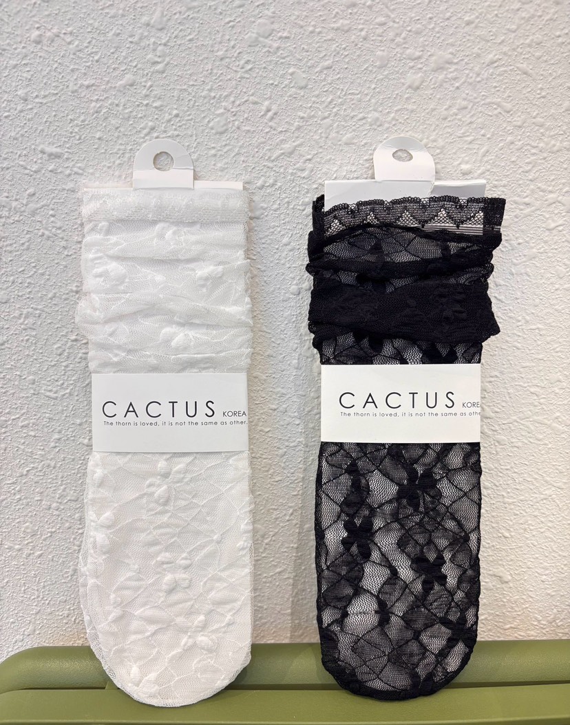 CACTUS-Q韓國代購女士新款人氣26春夏推薦職業26夏季襪子SCACTUS十雙起/可混搭襪子