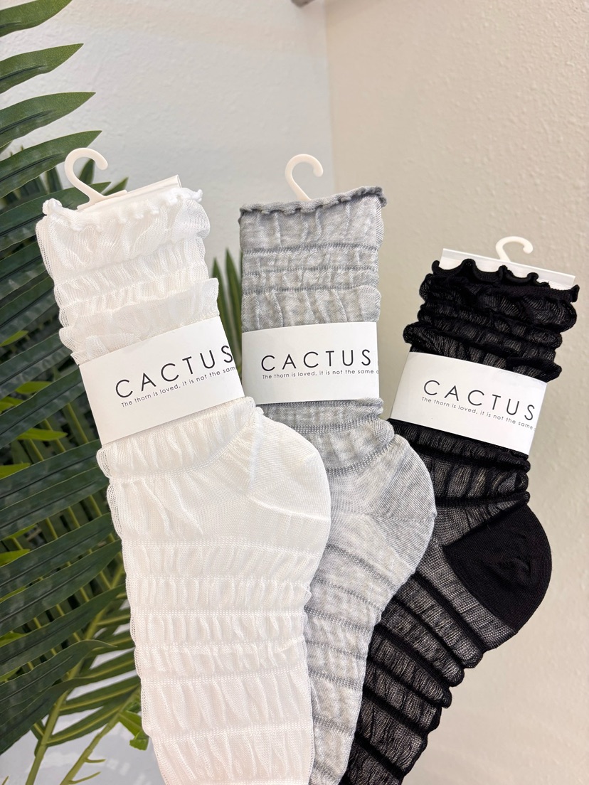 CACTUS-Q韓國直郵女士新品時尚休閑26春夏26夏季熱賣襪子SCACTUS十雙起/可混搭襪子