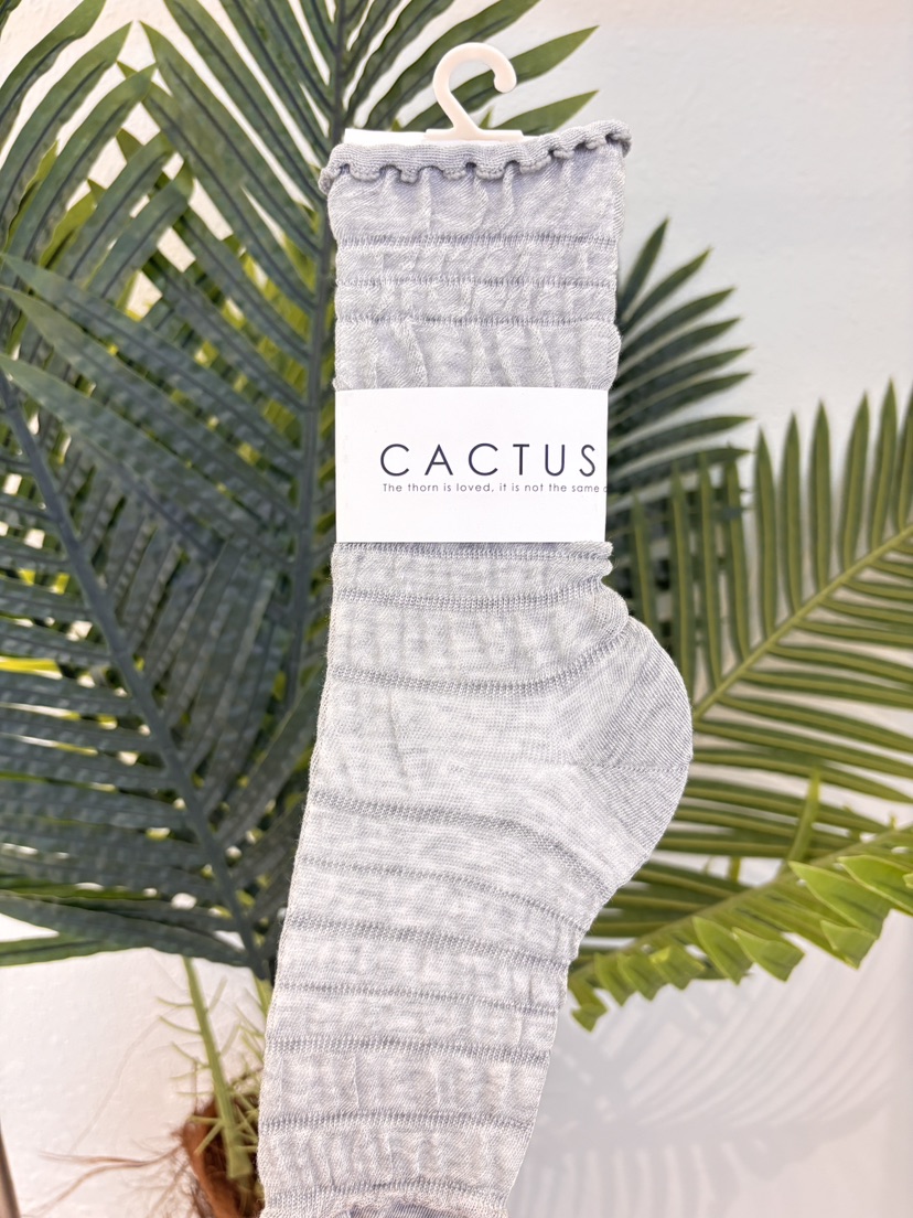 CACTUS-Q韓國直郵女士新品時尚休閑26春夏26夏季熱賣襪子SCACTUS十雙起/可混搭襪子圖色2