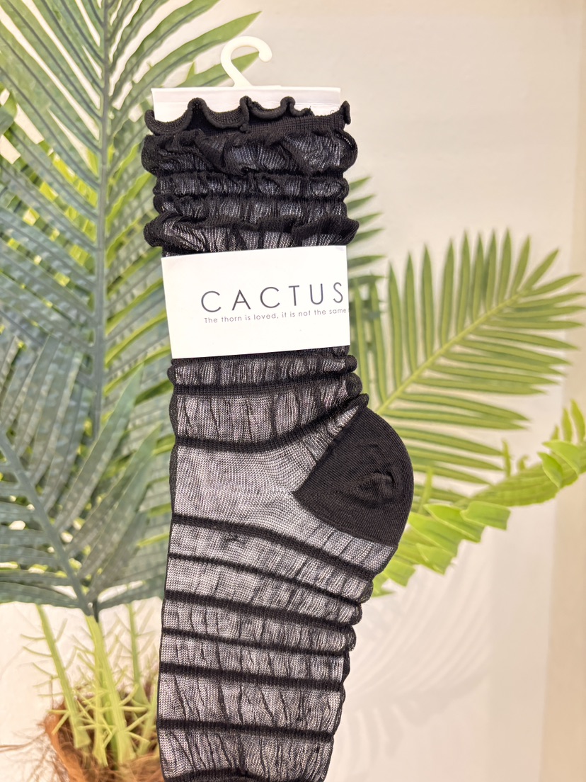 CACTUS-Q韓國直郵女士新品時尚休閑26春夏26夏季熱賣襪子SCACTUS十雙起/可混搭襪子圖色3
