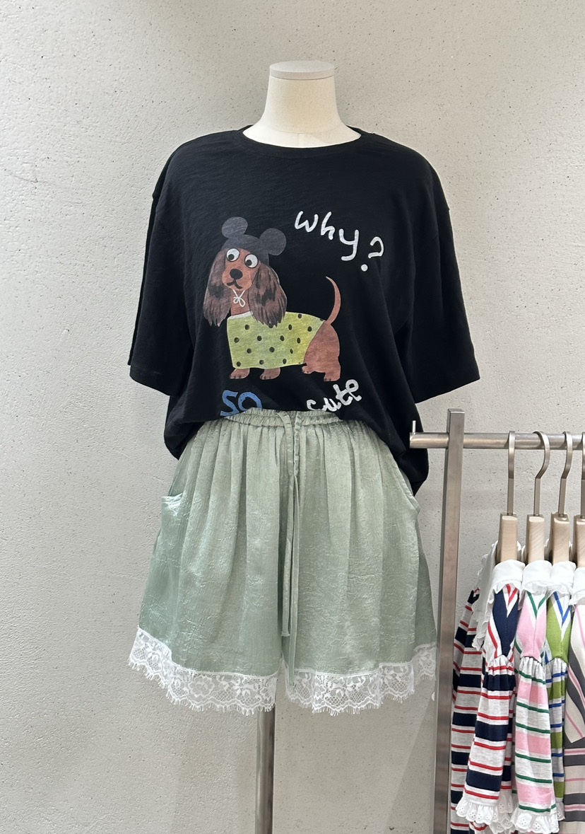 FIZZ韓國直郵實拍女裝新款時尚職業26春夏推薦熱賣人氣短褲FIZZ短褲