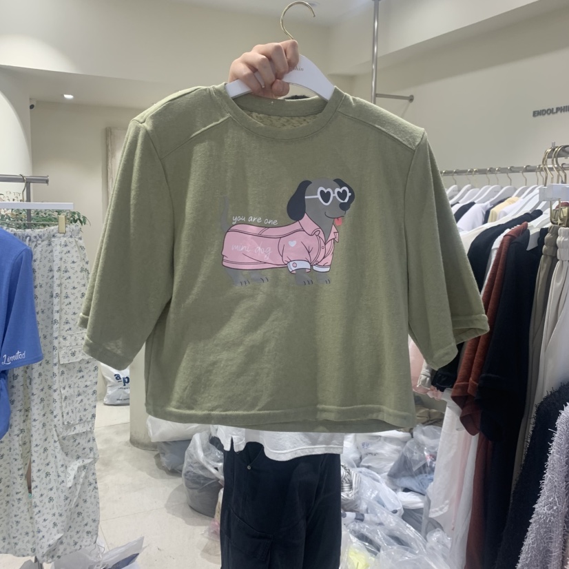 ENDOLPHIN韓國東大門直郵女裝新品26夏季休閑時尚人氣T恤ENDOLPHINT恤圖色4