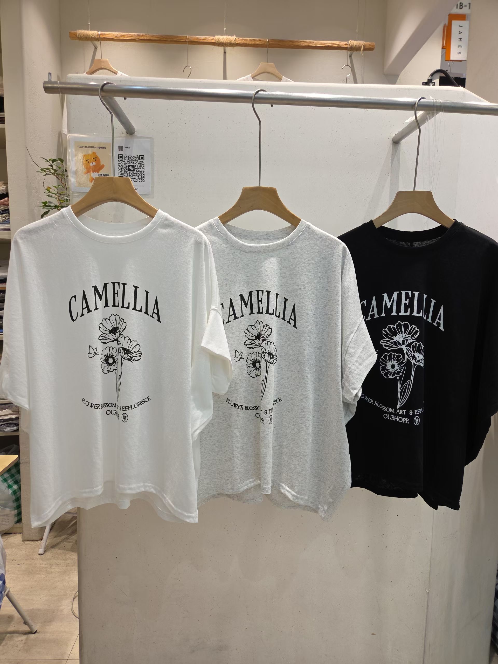 JAMES 제임스韓國直郵實拍女士新品時尚休閑人氣26夏季T恤JAMEST恤