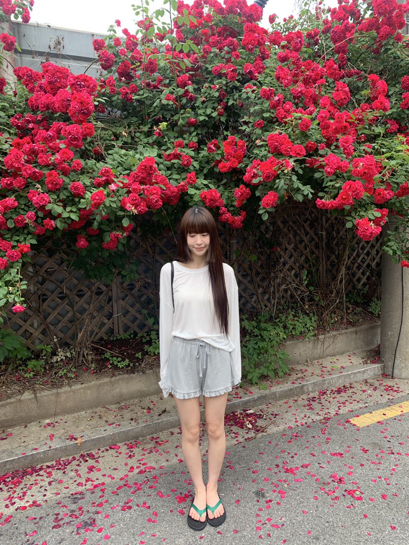 LOGARDEN韓國直郵女裝新品26夏季熱賣推薦人氣時尚休閑短褲LO GARDEN短褲