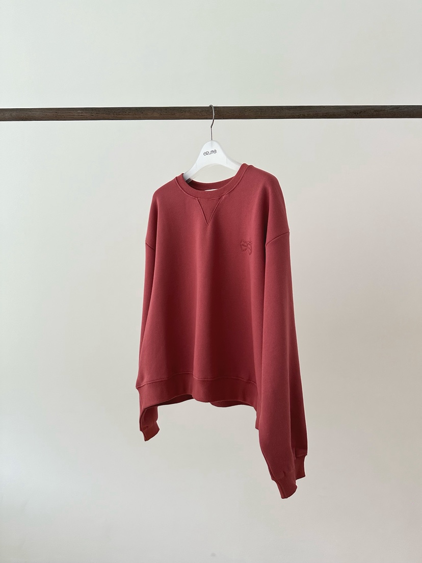 ERUME韓國直郵女士新品26夏季時尚休閑推薦熱賣人氣真品衛衣ERUME衛衣圖色2