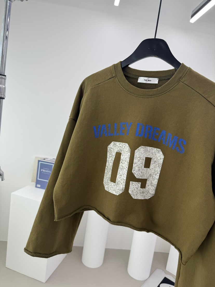 RED-A韓國直郵26秋冬新款推薦熱賣休閑人氣真品時尚衛衣RED-A衛衣圖色4