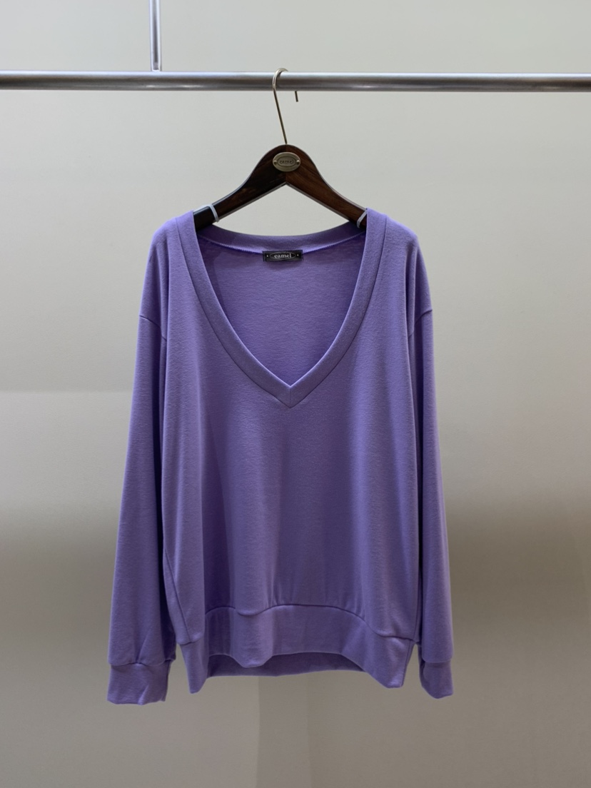 CAMEL-P東大門直郵女裝新品真品長袖T恤V領深VCame_l 家長袖T恤圖色2