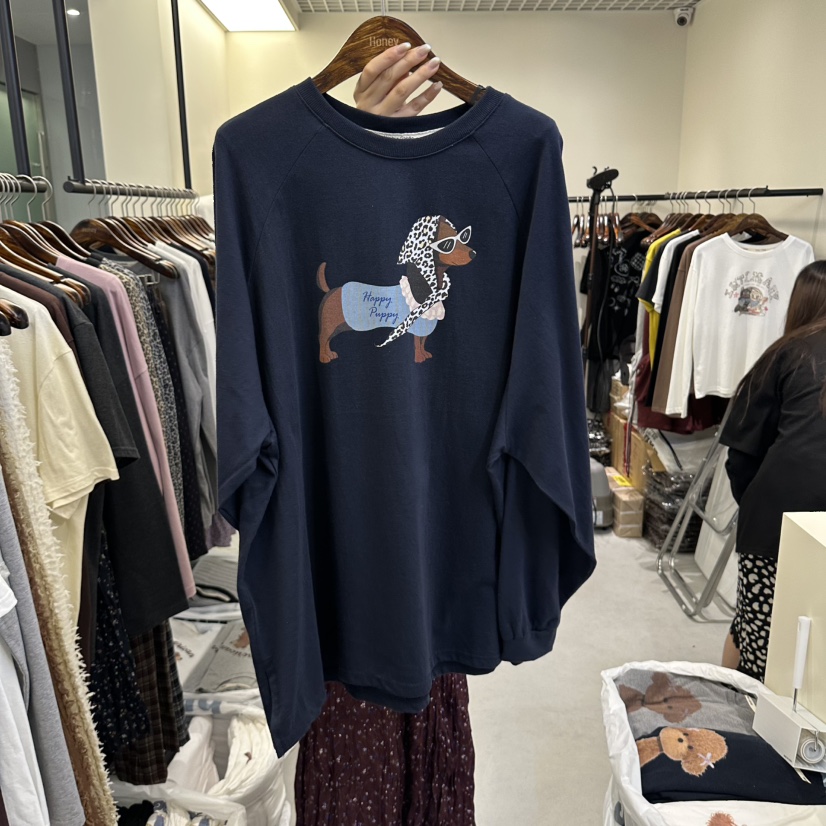X韓國直郵女士新款時尚真品人氣熱賣休閑推薦長袖T恤Honey長袖T恤圖色2