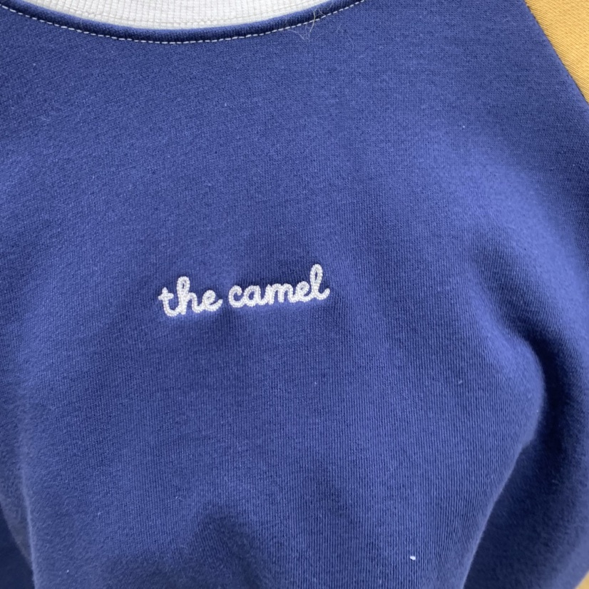 THE CAMEL東大門實拍女裝新品人氣衛衣the came_l 家衛衣