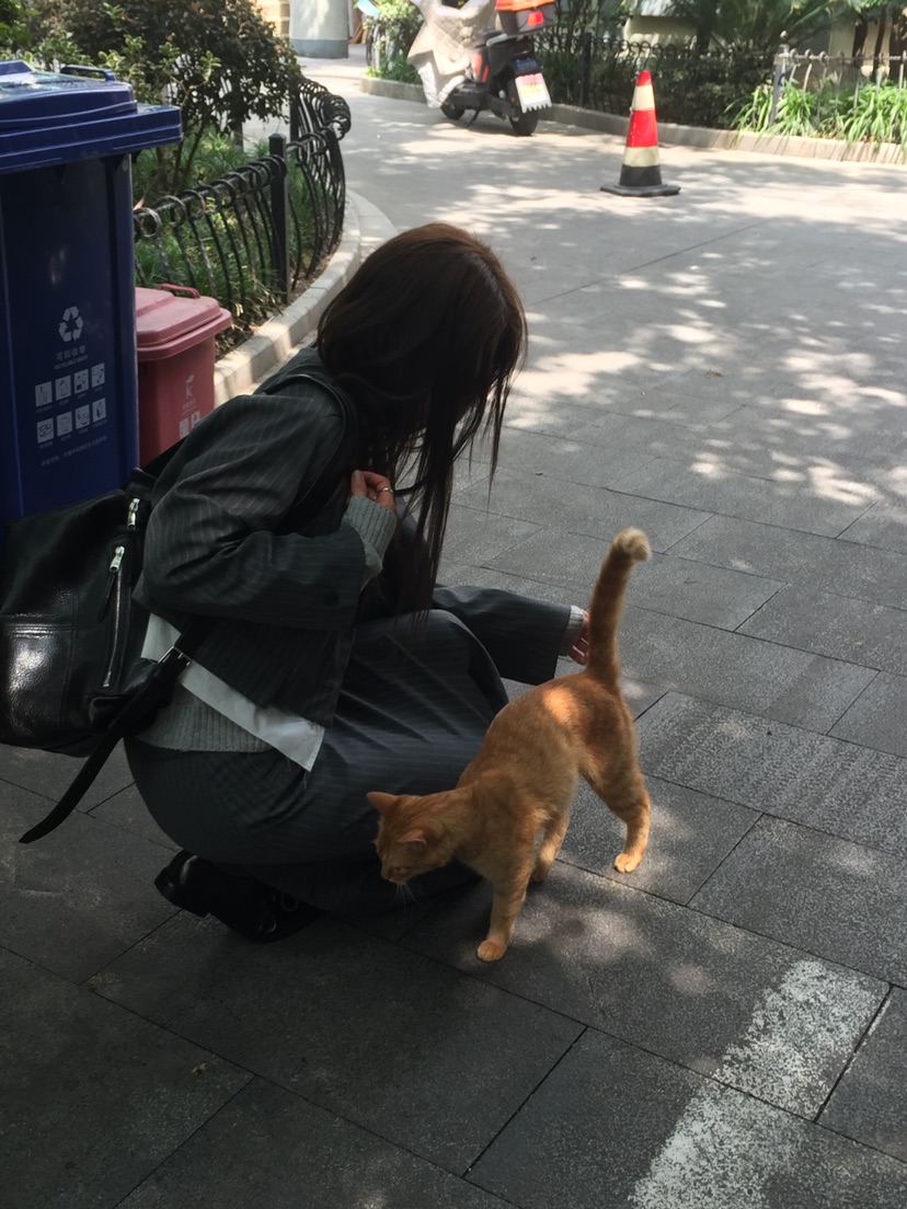 MURMUR韓國直郵女士新品休閑人氣推薦真品時尚熱賣西裝西服MURMUR西裝/西服