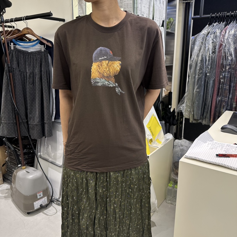 HONEY韓國直郵女士新品休閑時尚人氣推薦真品熱賣T恤HoneyT恤圖色2