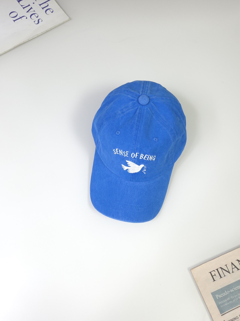 THE HAT-P東大門實拍女裝新款時尚真品熱賣推薦休閑帽子THE HAT帽子圖色4