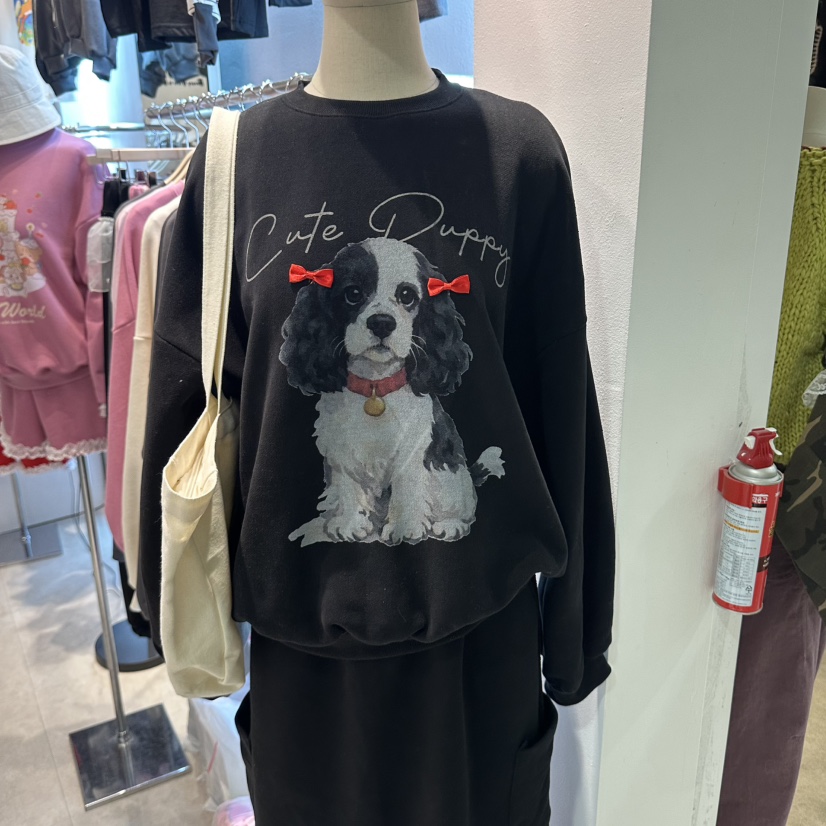 EVE韓國代購女裝新品人氣真品時尚推薦熱賣休閑衛衣EVE衛衣圖色3