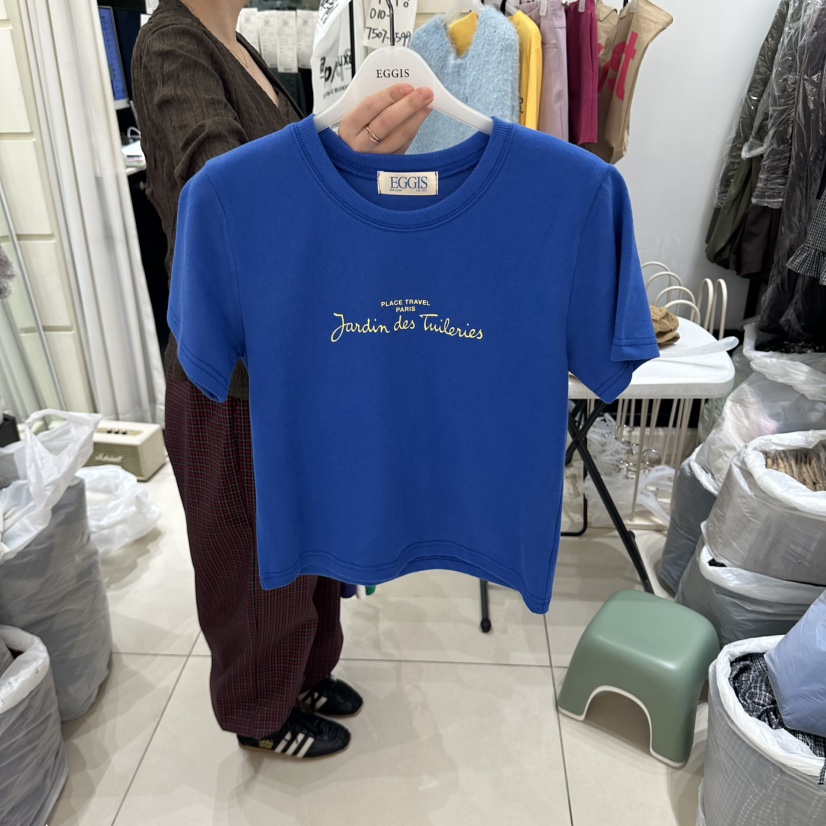 EGG IS韓國代購女裝新品推薦熱賣人氣休閑時尚真品T恤拉絨EGG IST恤圖色3