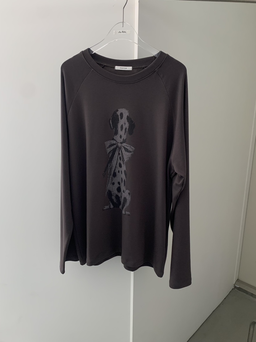 SHOP POSTER韓國代購女士新款推薦休閑真品人氣時尚長袖T恤SHOP POSTER長袖T恤圖色2