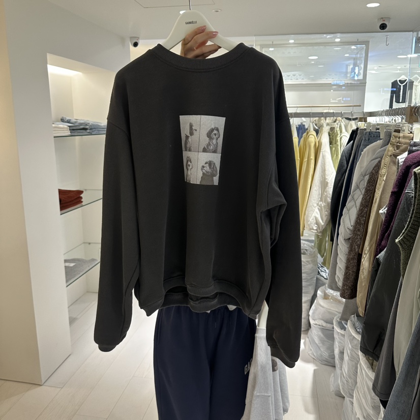 GABRIELLE東大門實拍女裝新品推薦時尚休閑熱賣真品衛衣加絨GABRIELLE衛衣圖色2