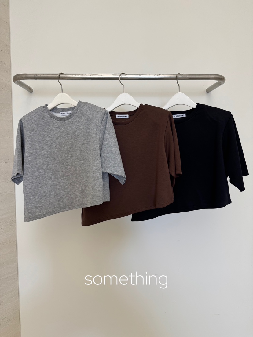 SOMETHING-L/FANCY韓國直郵26秋季短款圓領中袖T恤短款圓領SOMETHING-L/FANCYT恤