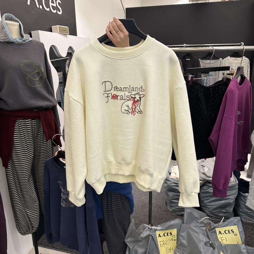 A.CES韓國代購26秋冬圓領刺繡落肩衛衣落肩寬松羅紋A.CES衛衣圖色4