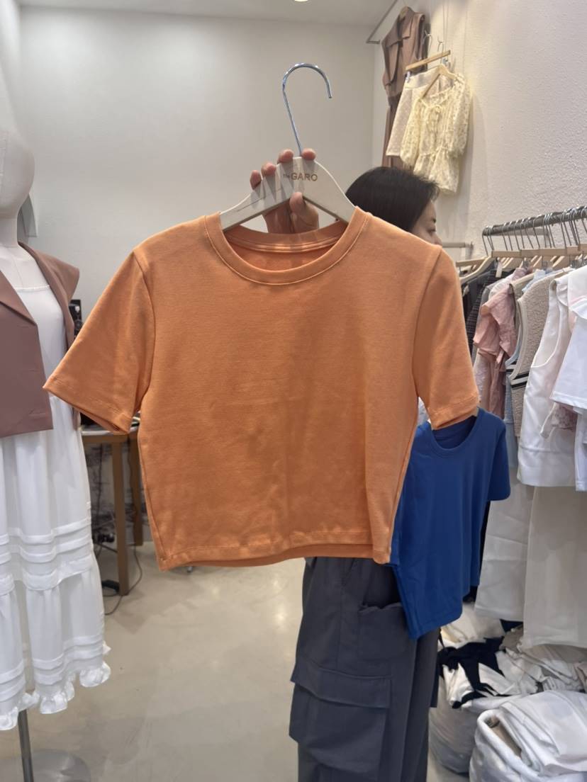 THE GARO韓國直郵東大門實拍女裝新品熱賣24春夏T恤短款HYPEARLT恤