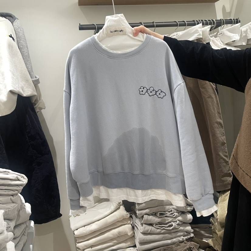 LE JARDINET直郵韓國代購女裝新品人氣推薦24秋冬衛衣加絨LE JARDINET衛衣