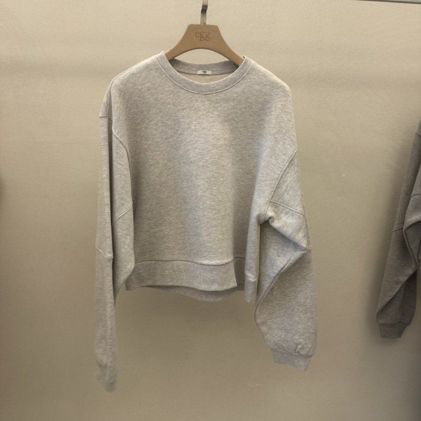 EGG韓國直郵東大門實拍女裝新品25春夏時尚職業真品推薦衛衣EGG-訂貨周期長衛衣