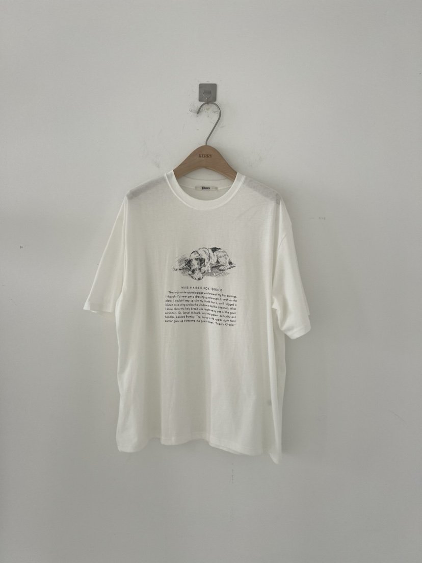 KERRY韓國直郵㊣東大門實拍女裝新品25春夏推薦時尚熱賣T恤KERRYT恤