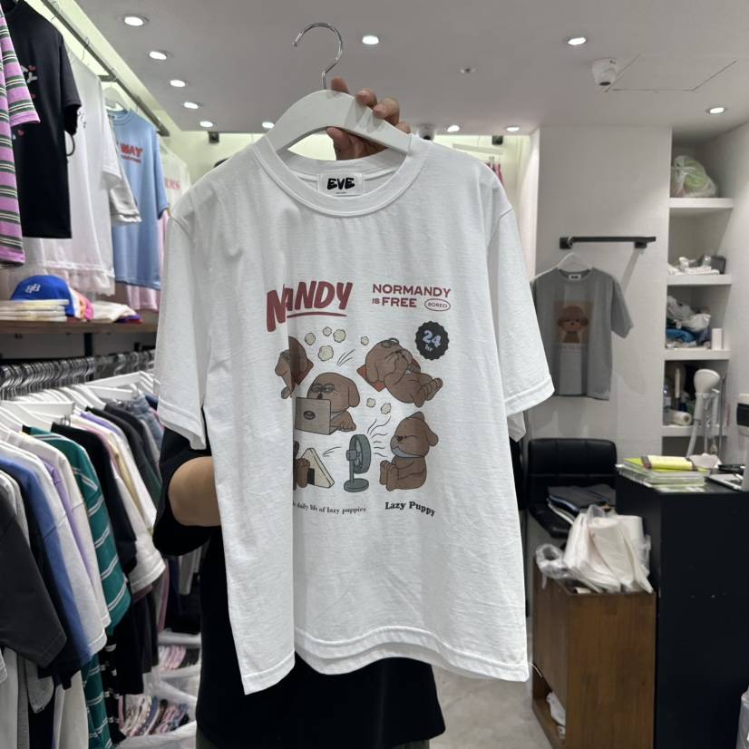 EVE東大門代購女裝新品25春夏推薦職業時尚人氣熱賣休閑T恤EVET恤