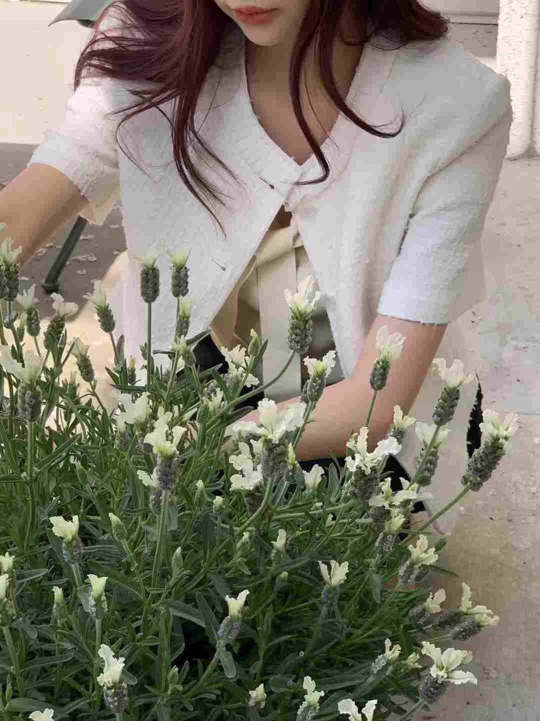ANDYOUBROWN-OT東大門代購女裝新品休閑25春夏熱賣夾克粗花呢ANDYOUBROWN-OT夾克