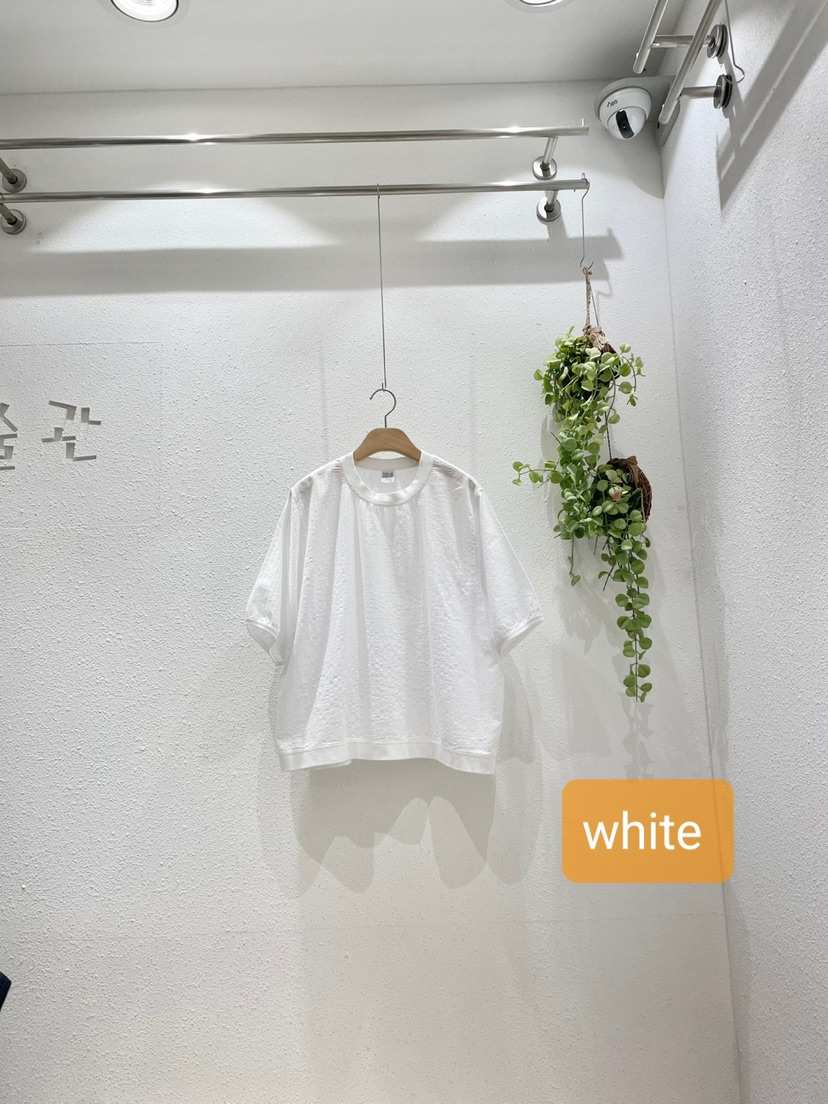 GALLERY-A東大門代購女裝新款休閑時尚人氣25春夏襯衫蕾絲衫GALLERY襯衫/蕾絲衫