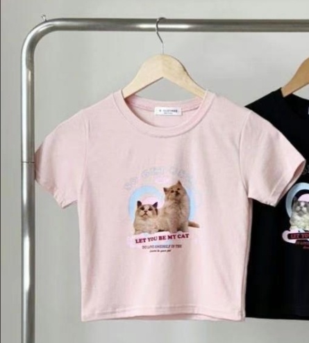 BCLOTHES-비클로스-T東大門㊣直郵女裝新款25春夏推薦T恤BCLOTHEST恤