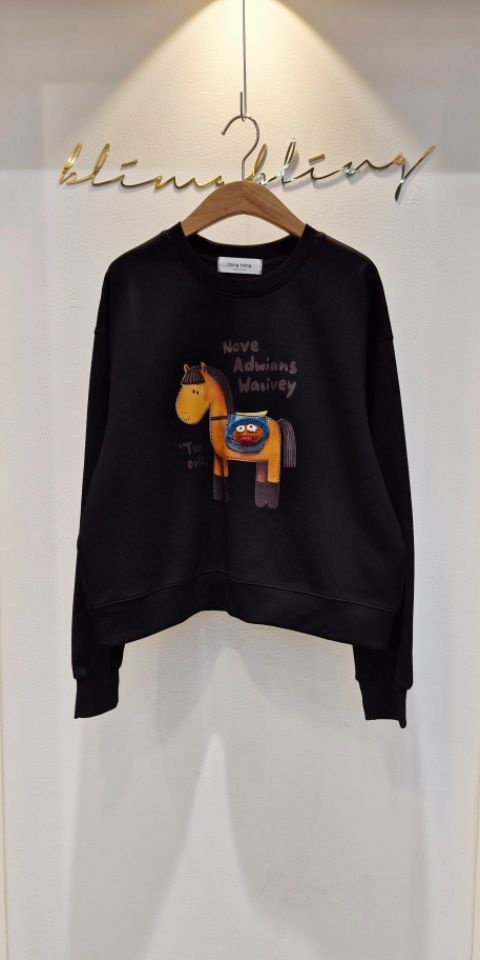 BLING BLING-S東大門㊣直郵女裝新品25秋冬時尚休閑職業衛衣BLING BLING-S衛衣